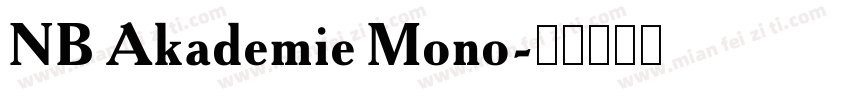 NB Akademie Mono字体转换